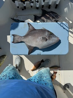 Fishing in Key Largo, Florida