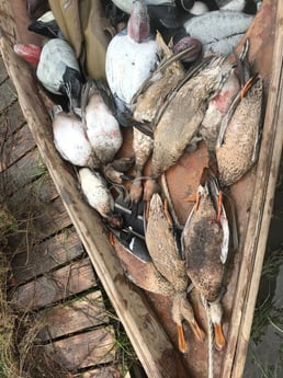 Fishing in Aransas Pass, Texas