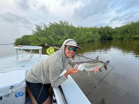 Tarpon Fishing in Layton Key, Florida