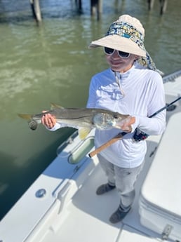 Snook fishing in Palm Coast, Florida