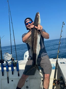 Cobia Fishing in Destin, Florida