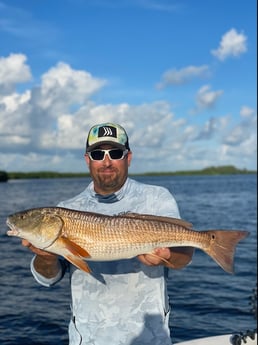 Redfish fishing in Bokeelia, Florida