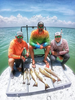 Redfish, Speckled Trout / Spotted Seatrout Fishing in Rio Hondo, Texas