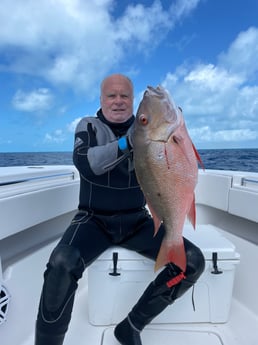 Yellowtail Amberjack fishing in Islamorada, Florida