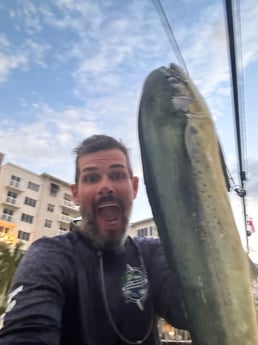 Mahi Mahi Fishing in Fort Lauderdale, Florida