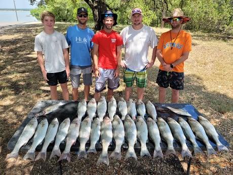 Black Seabass fishing in Whitney, Texas