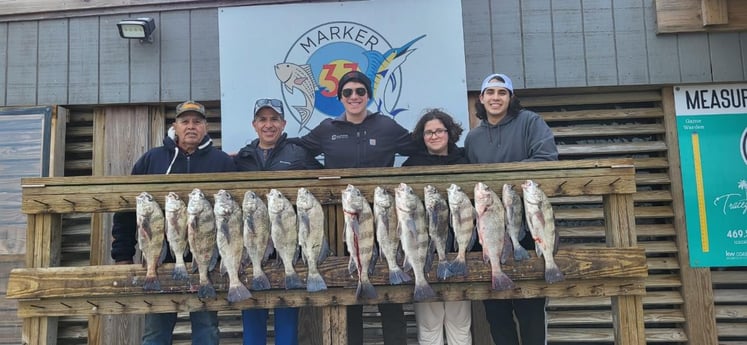 Black Drum Fishing in Corpus Christi, Texas