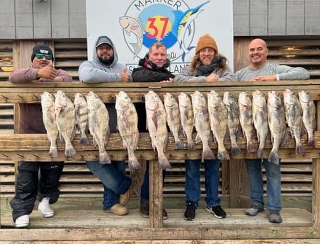 Black Drum Fishing in Corpus Christi, Texas