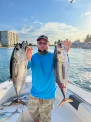 Yellowfin Tuna fishing in Fort Lauderdale, Florida