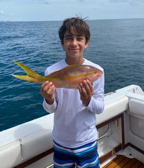 Yellowtail Snapper fishing in Riviera Beach, Florida