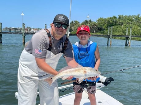 Snook fishing in Sarasota, Florida