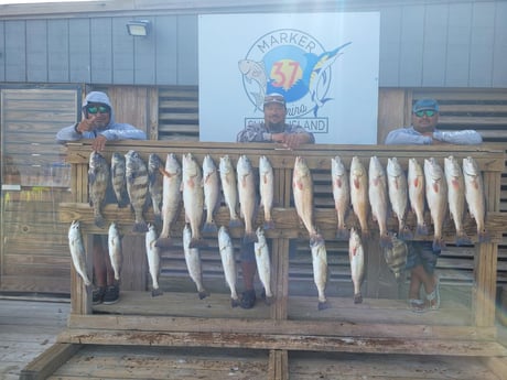 Black Drum, Redfish, Speckled Trout / Spotted Seatrout Fishing in Corpus Christi, Texas