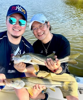 Snook Fishing in Tampa, Florida