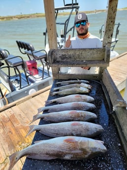 Redfish, Speckled Trout / Spotted Seatrout Fishing in Rio Hondo, Texas