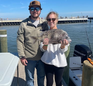 Sheepshead Fishing in Gulf Shores, Alabama