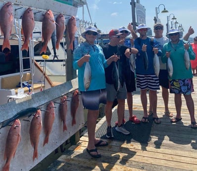 False Albacore, Red Snapper Fishing in Destin, Florida