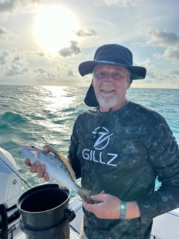 Yellowtail Snapper Fishing in Islamorada, Florida