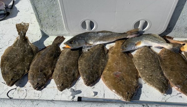 Flounder, Speckled Trout / Spotted Seatrout fishing in Port O&#039;Connor, Texas