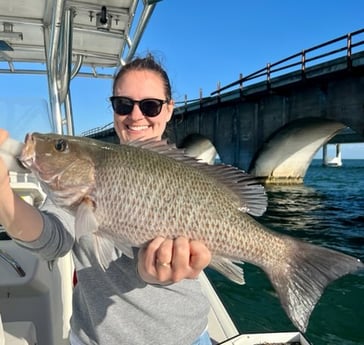 Mangrove Snapper Fishing in Marathon, Florida