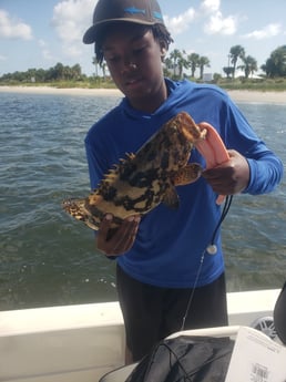 Goliath Grouper Fishing in New Smyrna Beach, Florida