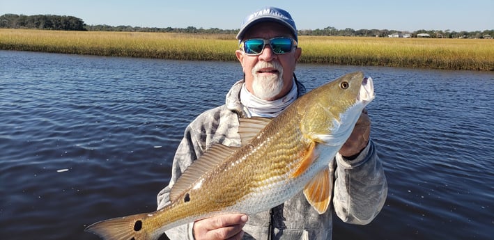 Redfish fishing in Jacksonville, Florida