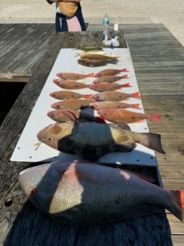 Fishing in Key Largo, Florida