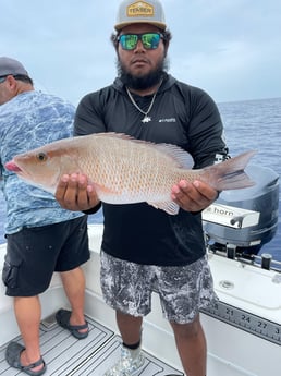 Mangrove Snapper fishing in Naples, Florida