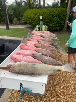 Gag Grouper, Red Grouper, Red Snapper fishing in Sarasota, Florida