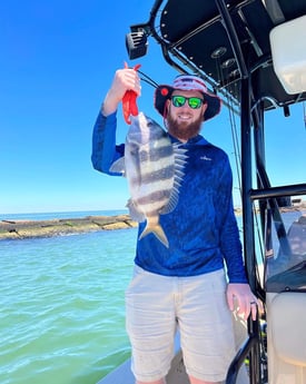 Sheepshead fishing in Galveston, Texas