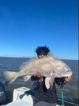 Black Drum fishing in Galveston, Texas