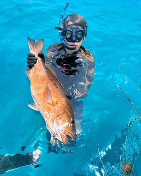 Cubera Snapper Fishing in Islamorada, Florida