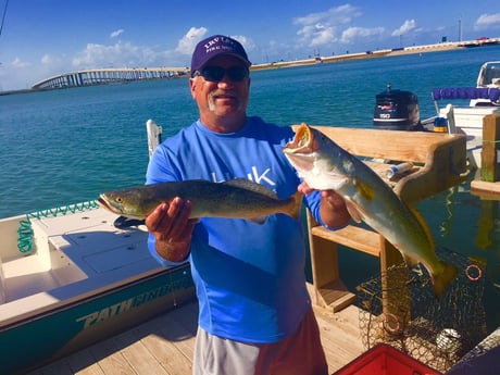 Speckled Trout / Spotted Seatrout fishing in Corpus Christi, Texas