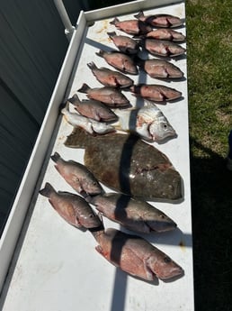 Fishing in Port Orange, Florida