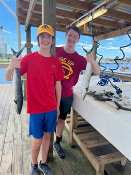 Spanish Mackerel fishing in Orange Beach, Alabama