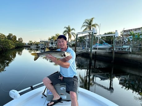 Snook Fishing in St. Petersburg, Florida