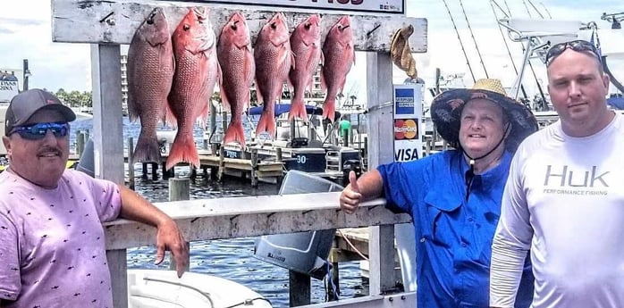 Mangrove Snapper, Red Snapper fishing in Destin, Florida