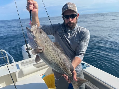 Gag Grouper fishing in Pensacola, Florida