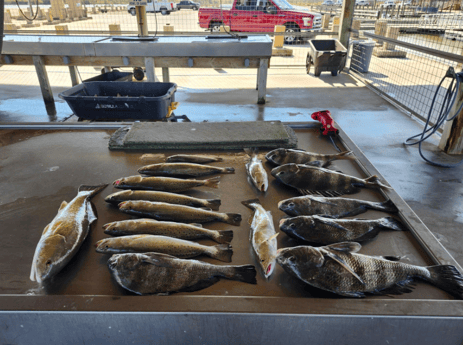 Fishing in Matagorda, Texas