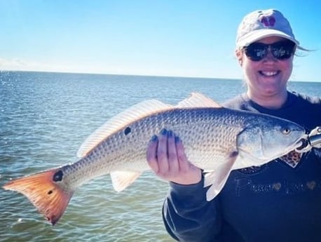 Redfish Fishing in Key Largo, Florida