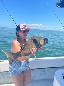 Gag Grouper fishing in Holmes Beach, Florida