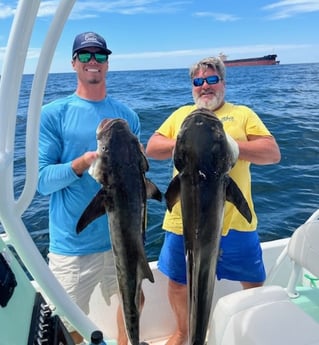 Cobia Fishing in Orange Beach, Alabama