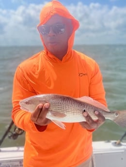 Redfish fishing in Mount Pleasant, South Carolina