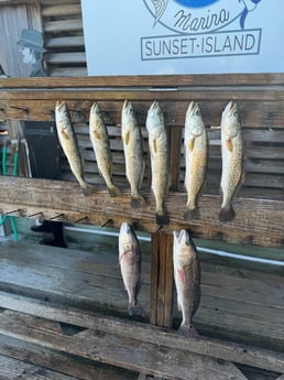 Fishing in Corpus Christi, Texas