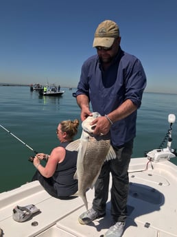 Black Drum fishing in League City, Texas