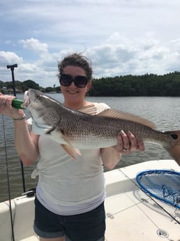 Redfish Fishing in St. Petersburg, Florida