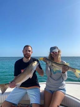 Redfish fishing in Sarasota, Florida