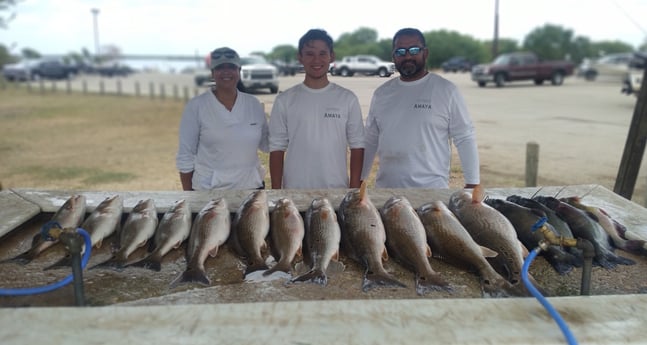 Blue Catfish, Redfish fishing in Hilton Head Island, South Carolina