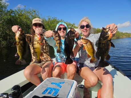 Fishing in Fort Lauderdale, Florida