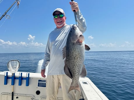 Gag Grouper Fishing in Destin, Florida