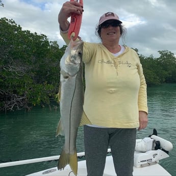 Snook Fishing in Key Largo, Florida